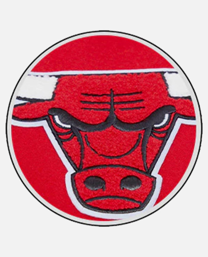 Men's NBA Chicago Bulls Red Black Varsity Jacket
